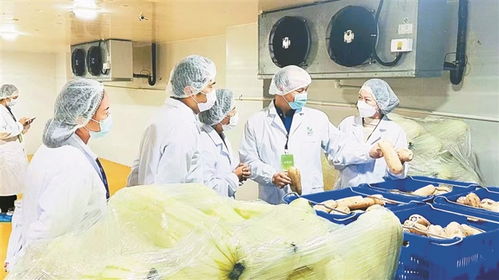 市疾控中心发布校园食品安全提醒 守好健康表，把住检验口